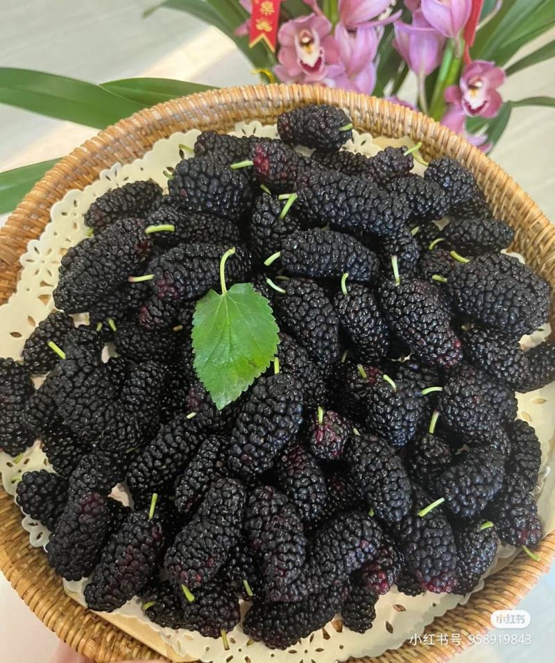 桑葚干新疆黑桑葚免洗无沙桑果黑桑椹干泡水泡茶店铺另售玫瑰