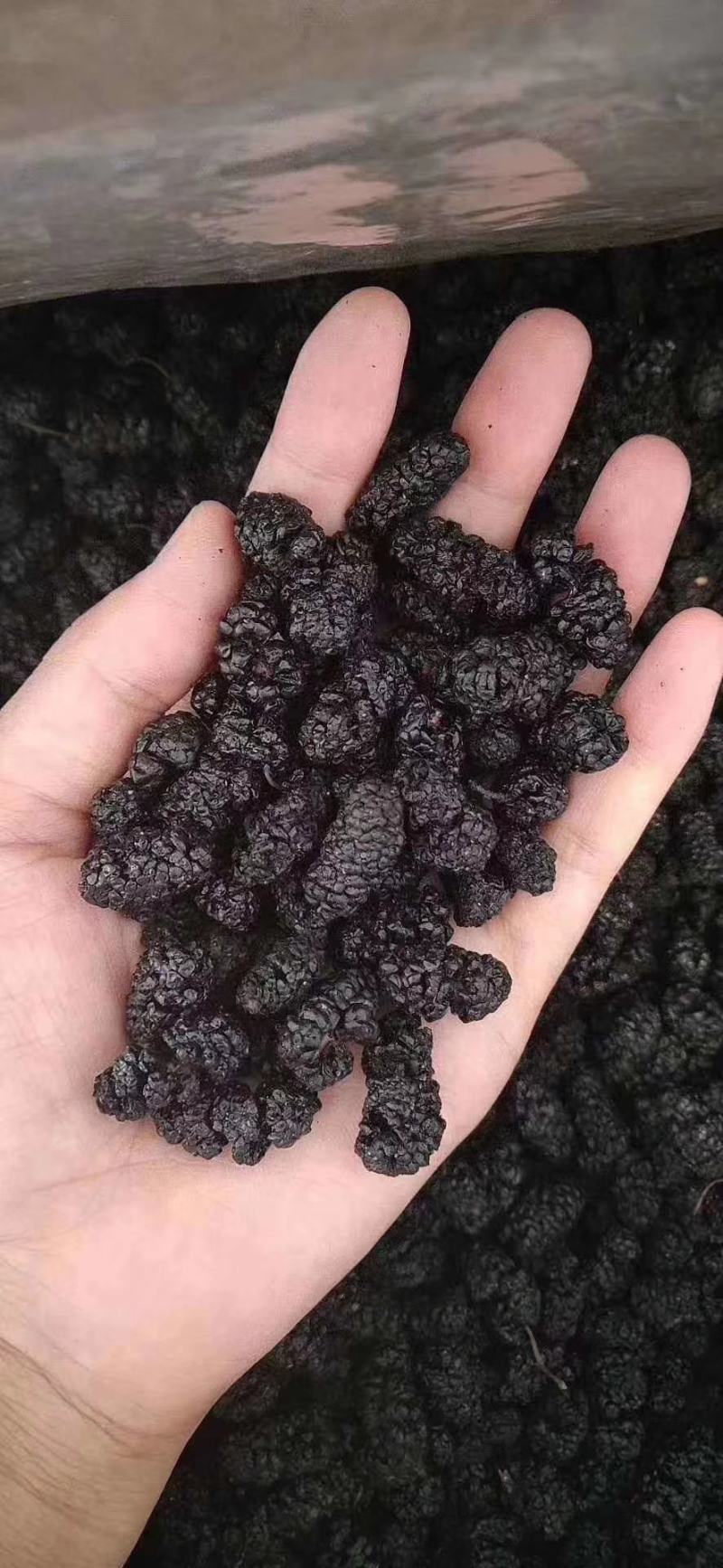桑葚干新疆黑桑葚免洗无沙桑果黑桑椹干泡水泡茶店铺另售玫瑰