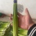 邳州白帽蒜台