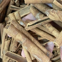 桂皮肉桂烟桂新货批发香料调料五香肉桂深山油桂干货