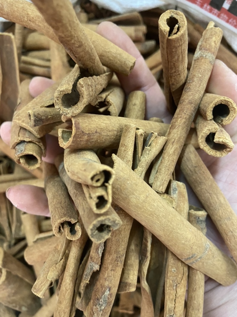 桂皮肉桂烟桂新货批发香料调料五香肉桂深山油桂干货