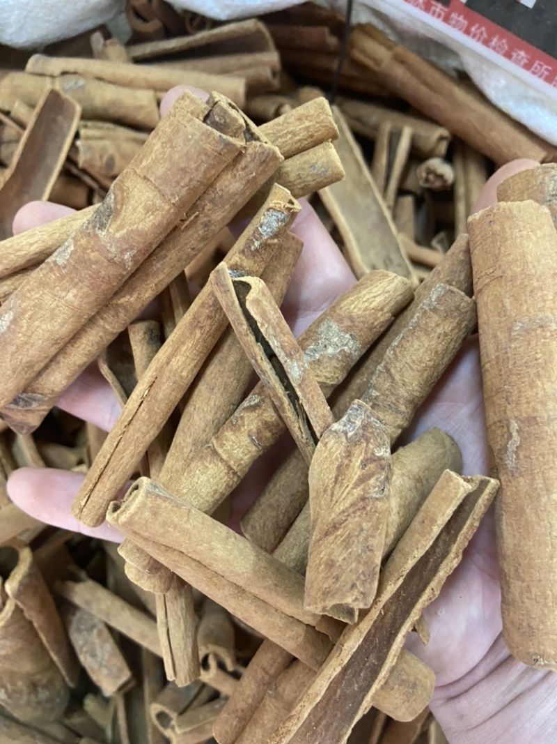 桂皮肉桂烟桂新货批发香料调料五香肉桂深山油桂干货