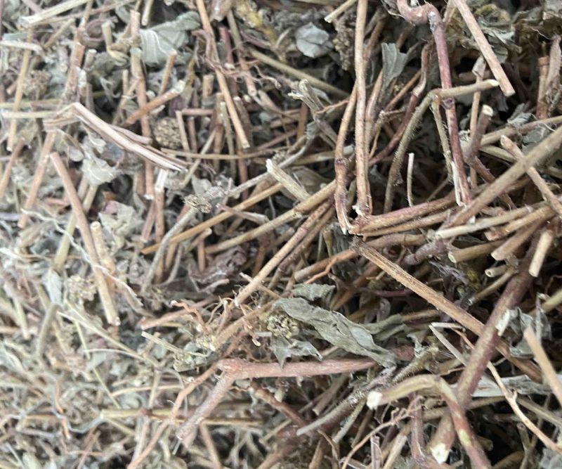 广西飞杨草自然晒干农家无硫药材正品野生大飞扬草