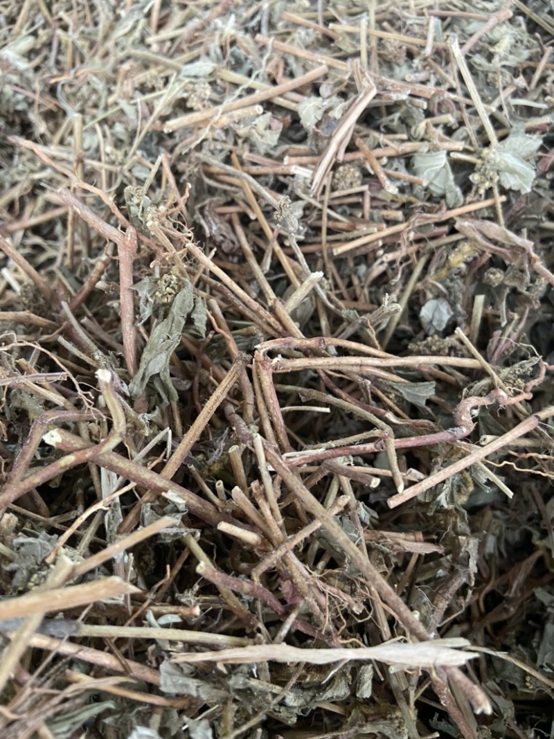 广西飞杨草自然晒干农家无硫药材正品野生大飞扬草