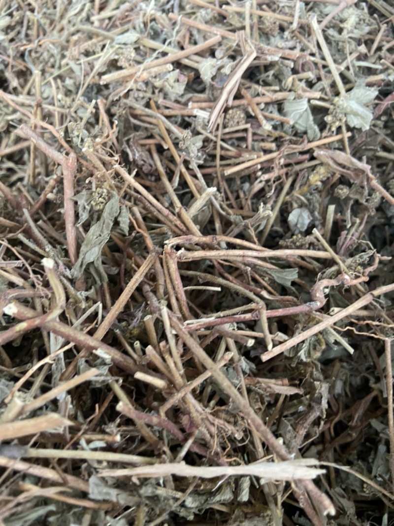 广西飞杨草自然晒干农家无硫药材正品野生大飞扬草