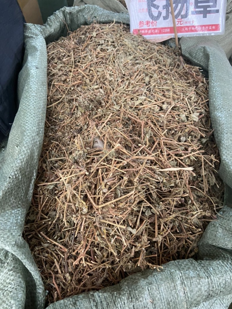 广西飞杨草自然晒干农家无硫药材正品野生大飞扬草