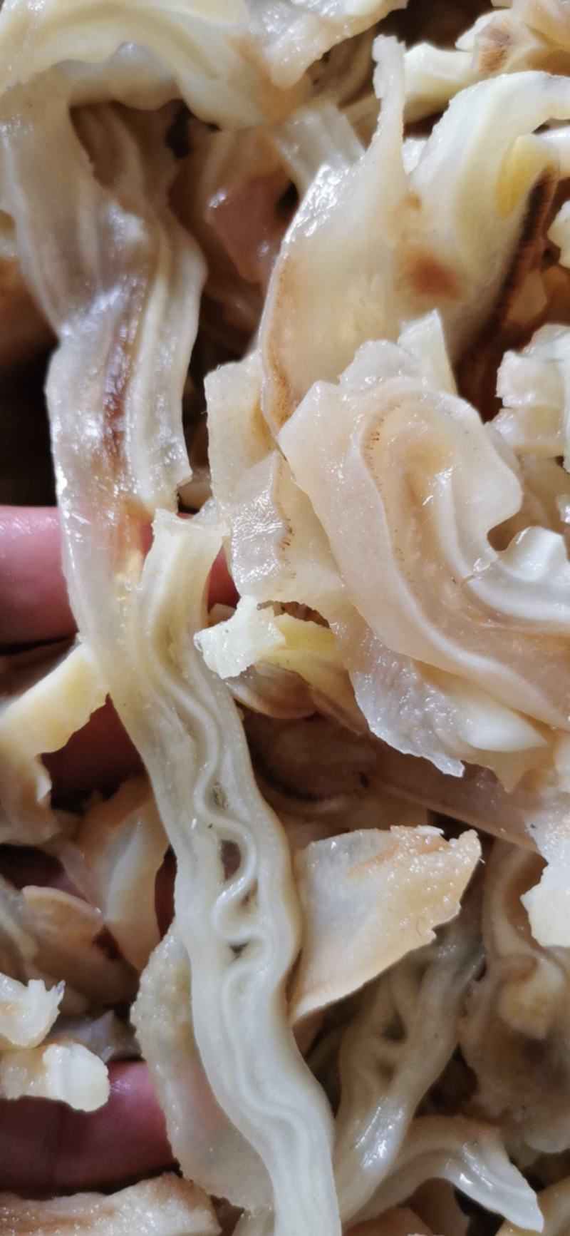 牛耳丝，全熟牛耳丝，炒菜凉拌火锅食材，一手货源