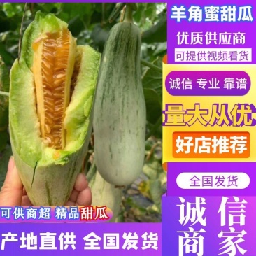 万亩基地羊角蜜甜瓜大量上市质量保证价格实惠可供商超