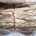 当归佛手片统货产地甘肃岷县，人工切片无硫无熏，直供药店药