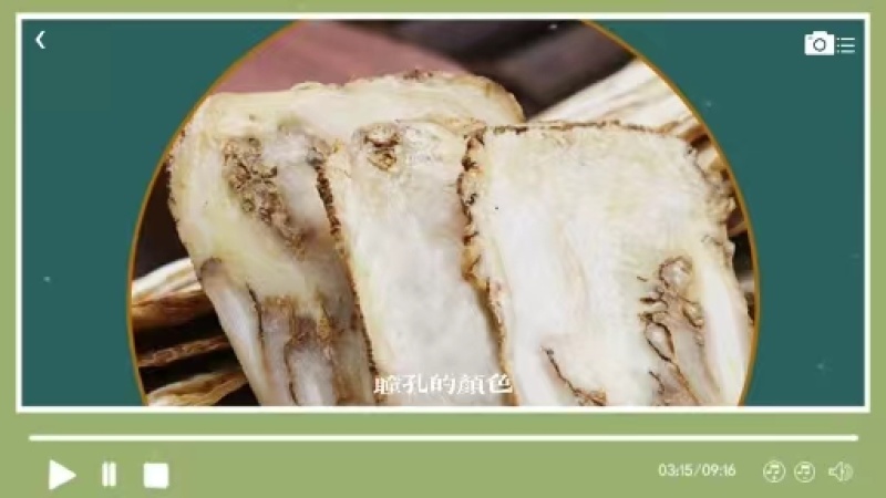 当归佛手片统货产地甘肃岷县，人工切片无硫无熏，直供药店药