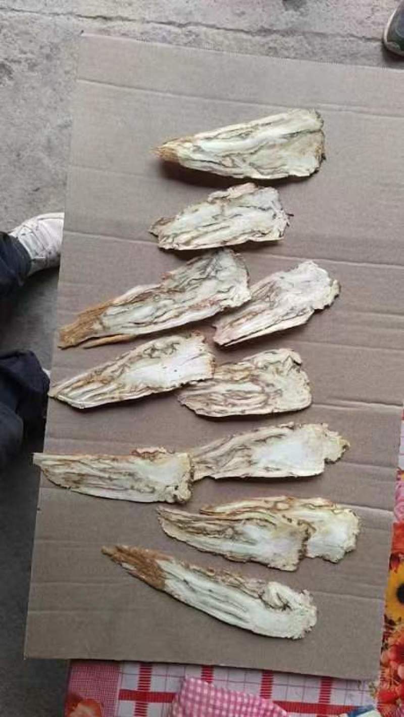 当归佛手片统货产地甘肃岷县，人工切片无硫无熏，直供药店药