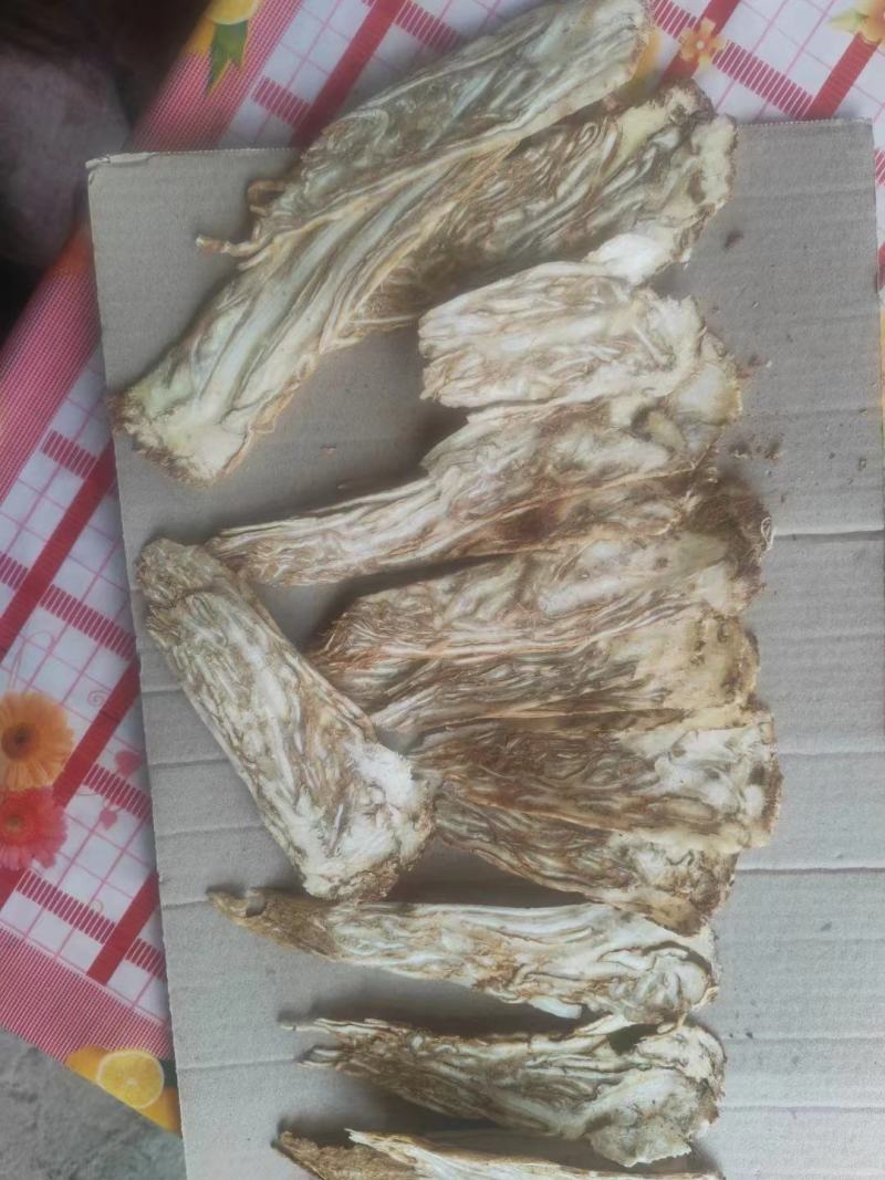 当归佛手片统货产地甘肃岷县，人工切片无硫无熏，直供药店药