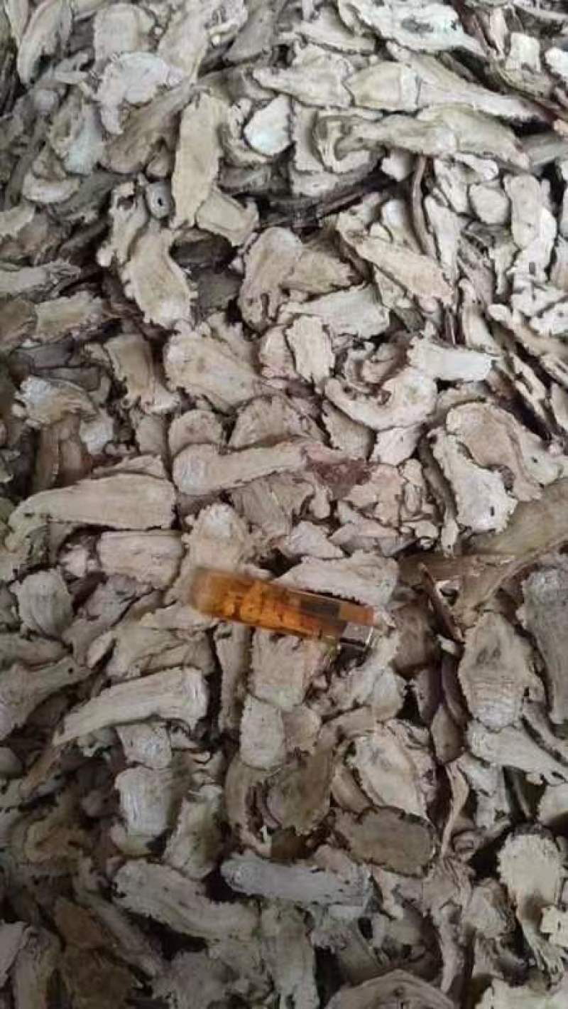 当归佛手片统货产地甘肃岷县，人工切片无硫无熏，直供药店药