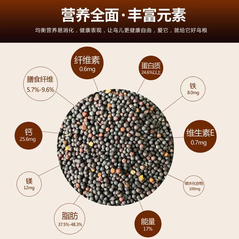 四川油菜籽饲料榨油一手货源产地直发货源充足