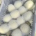 精品白莎蜜口感特别甜，大量供应，需要的联系