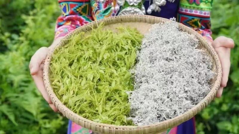 湖南湘西莓茶