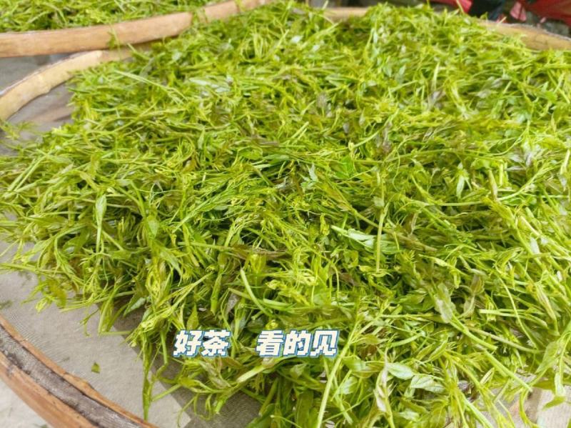 湖南湘西莓茶