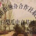 山东济宁绿宝石甜瓜/价格便宜货源充足/产地直发欢迎联系