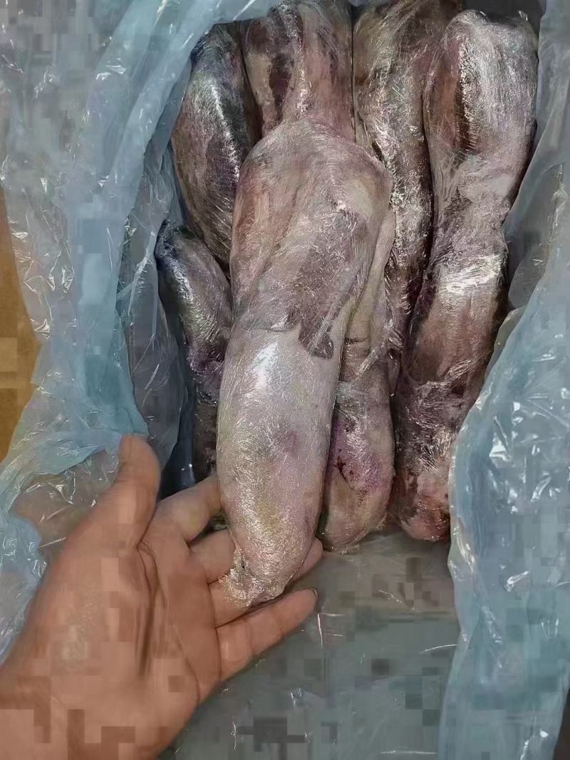 牛舌，精修纯干货，价格低，质量保证，货源稳定，大量现货。