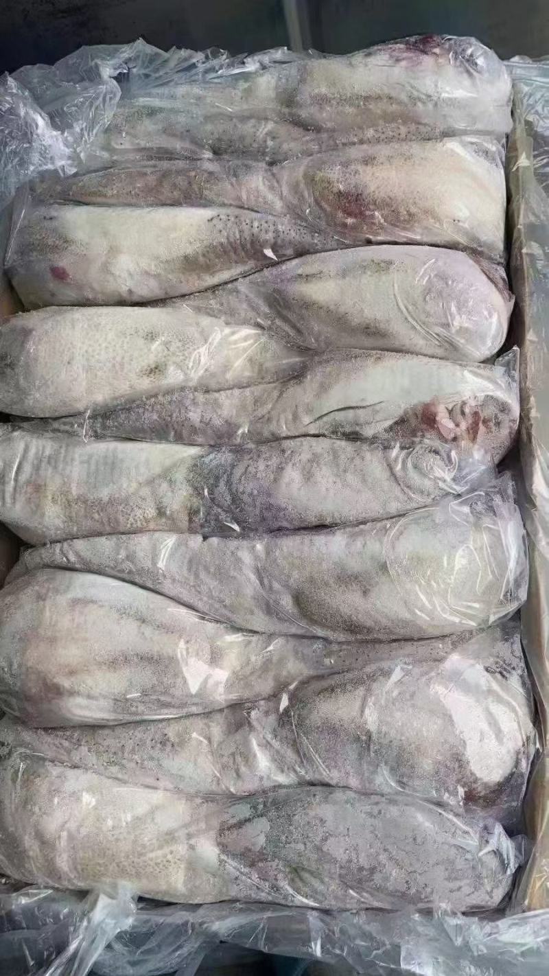 牛舌，精修纯干货，价格低，质量保证，货源稳定，大量现货。