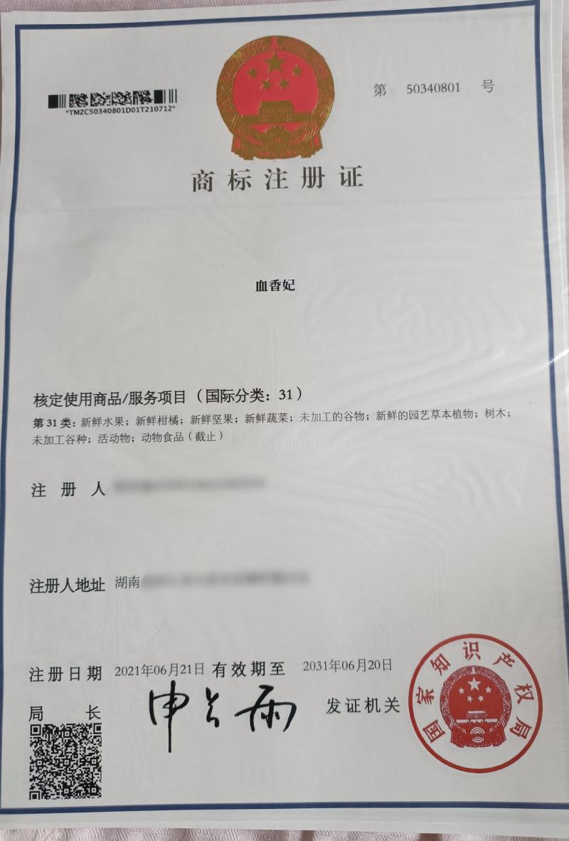 血香妃李商标品种脆甜爽口市场畅销售价高效益好