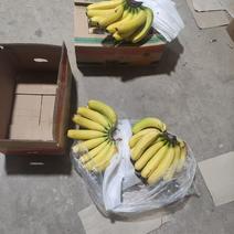 精品国产广西二黄香蕉，无黑心，无硬心，质量三包，特价中。