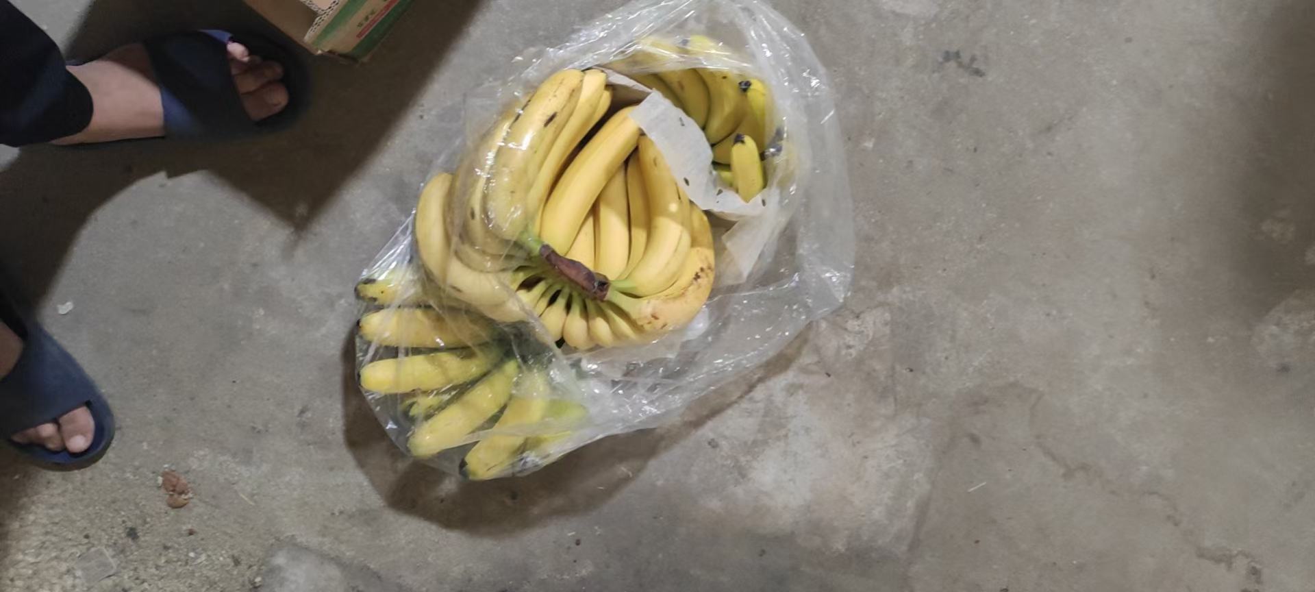 香蕉与雪碧搭配后的胃部反应示意图