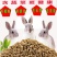 兔兔粮，幼兔大兔母兔肉兔全阶段饲料，大包装批发