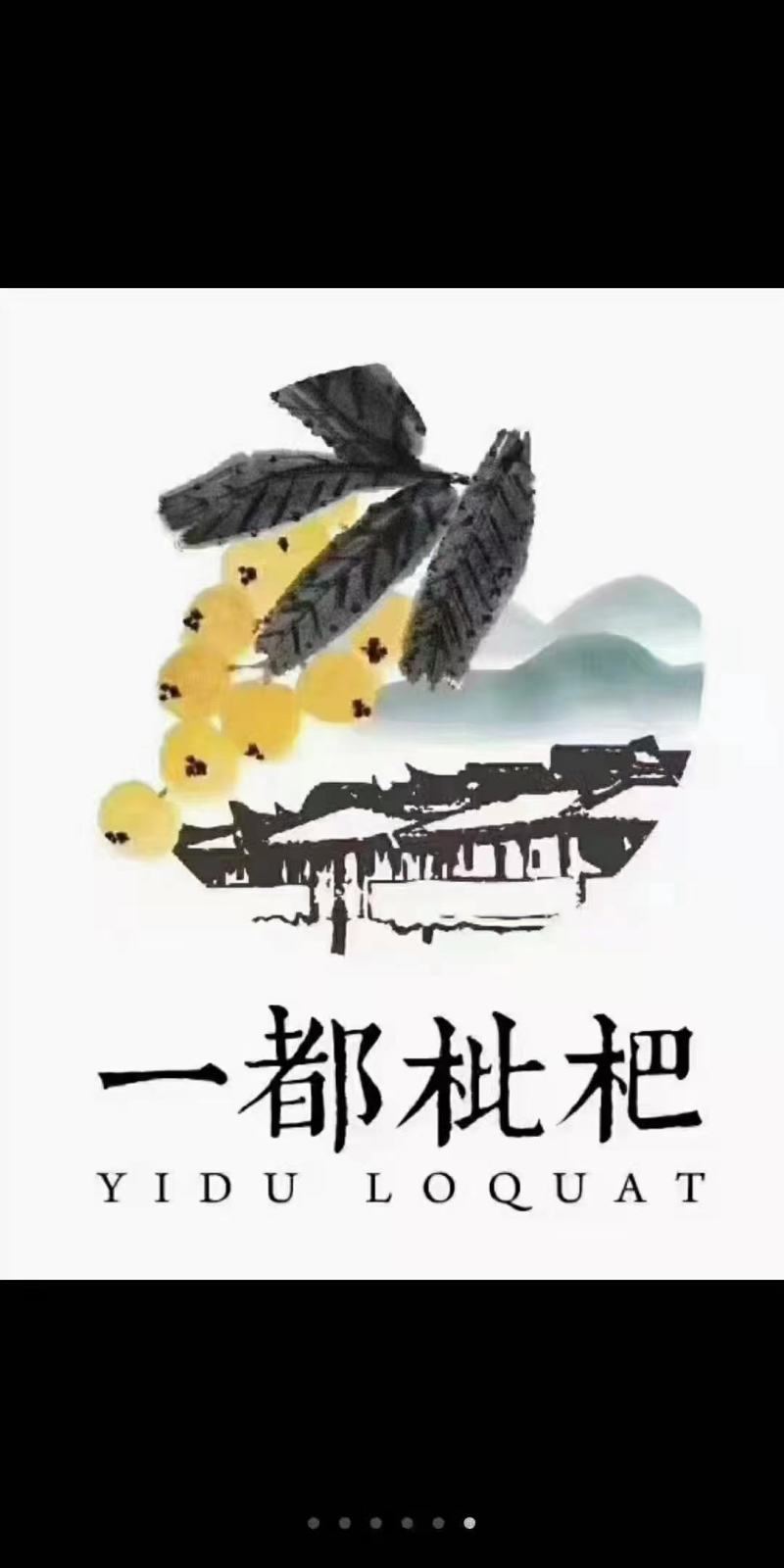 解放钟枇杷一件代发全国发货支持线上下单