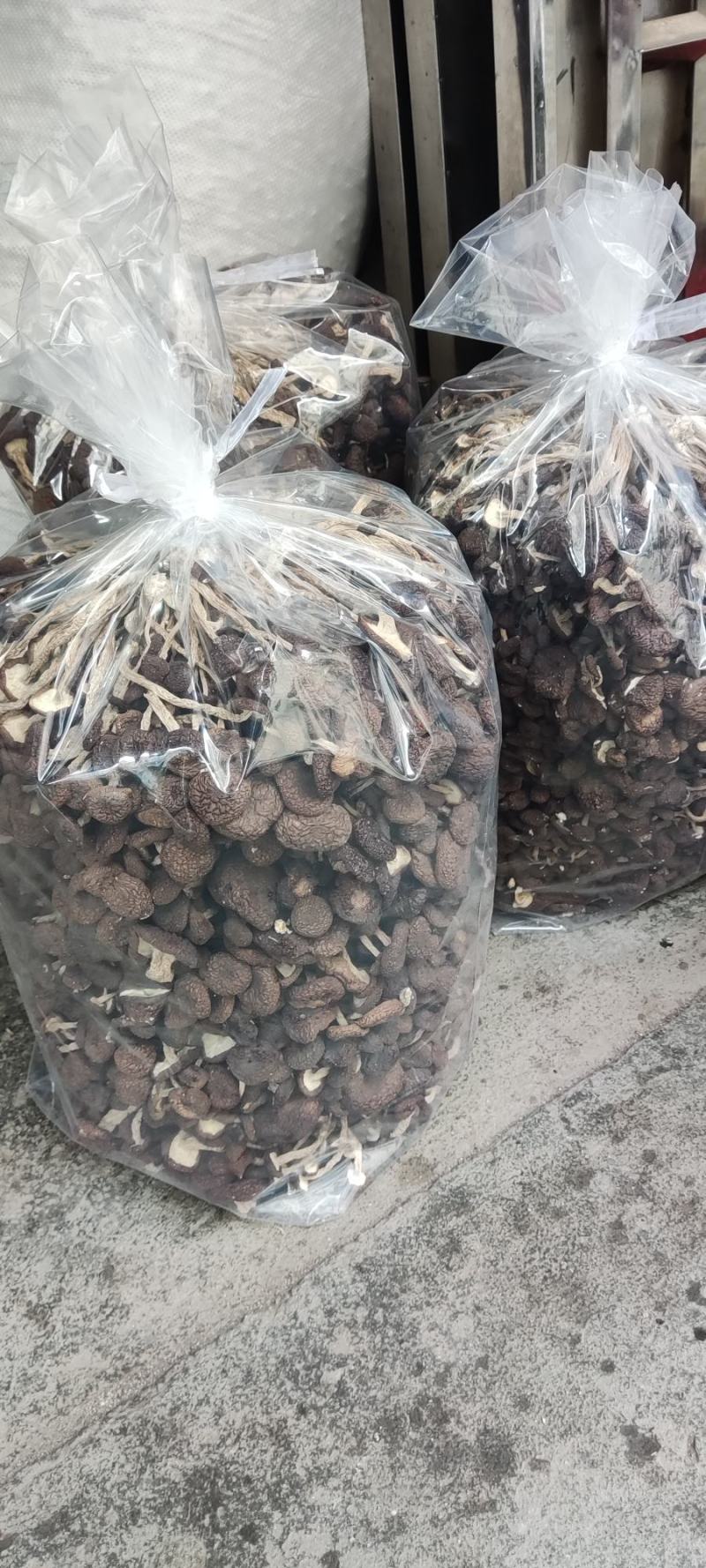 精品江西广昌县茶树菇批发通货批发5斤*2包/件