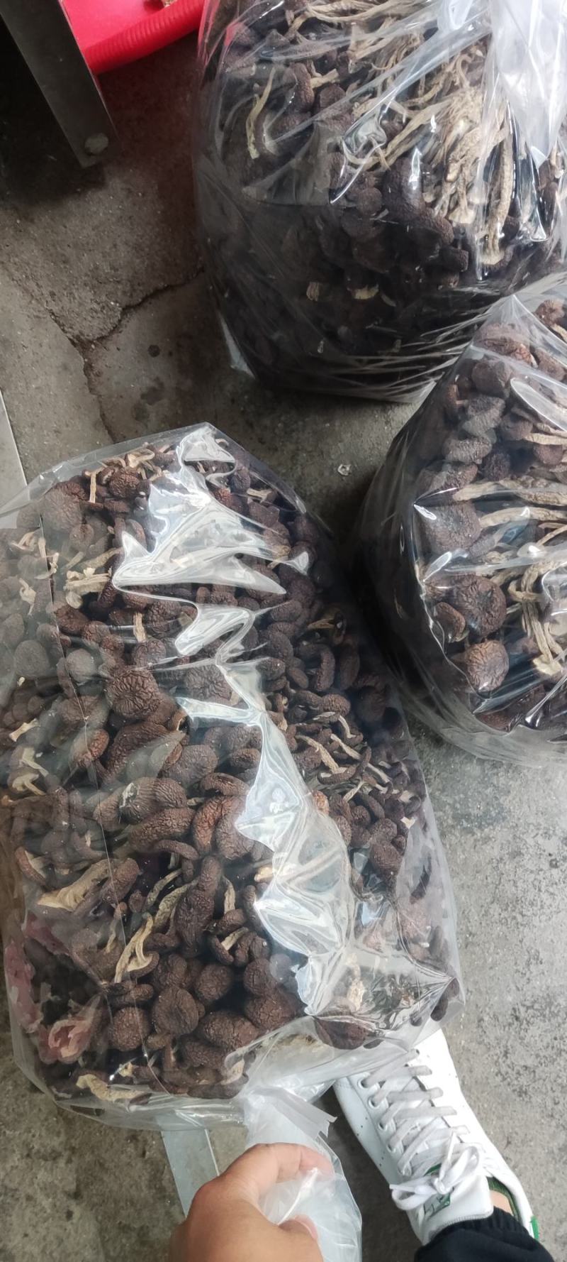 精品江西广昌县茶树菇批发通货批发5斤*2包/件