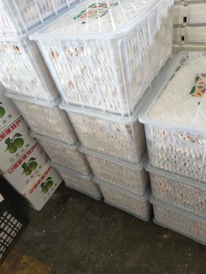 福建枇杷白玉枇杷现摘现发货源充足对接全国
