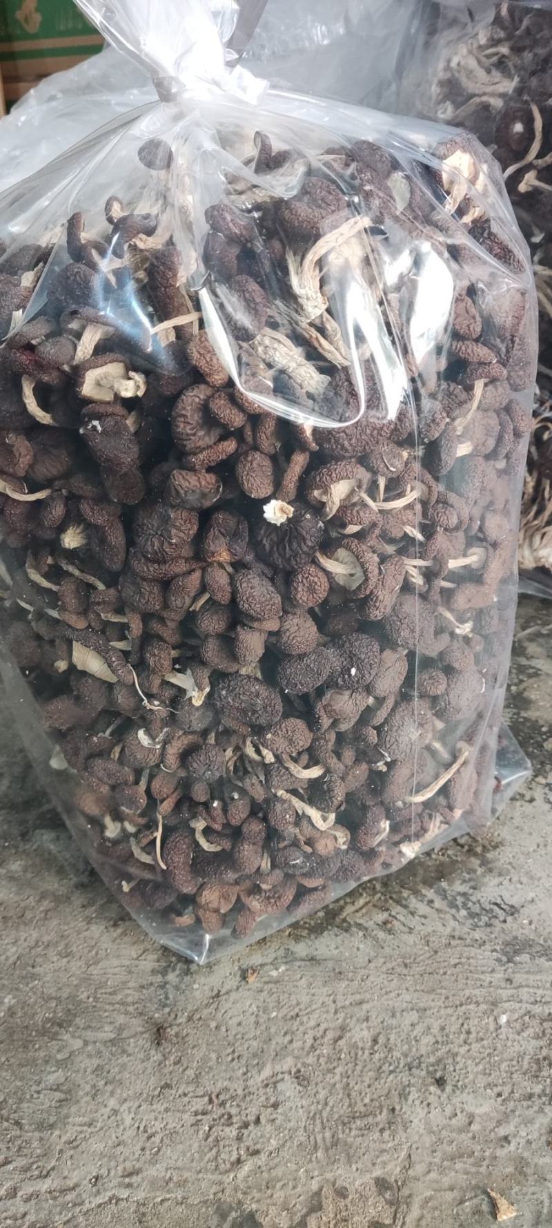 精品江西广昌县茶树菇批发通货批发5斤*2包/件