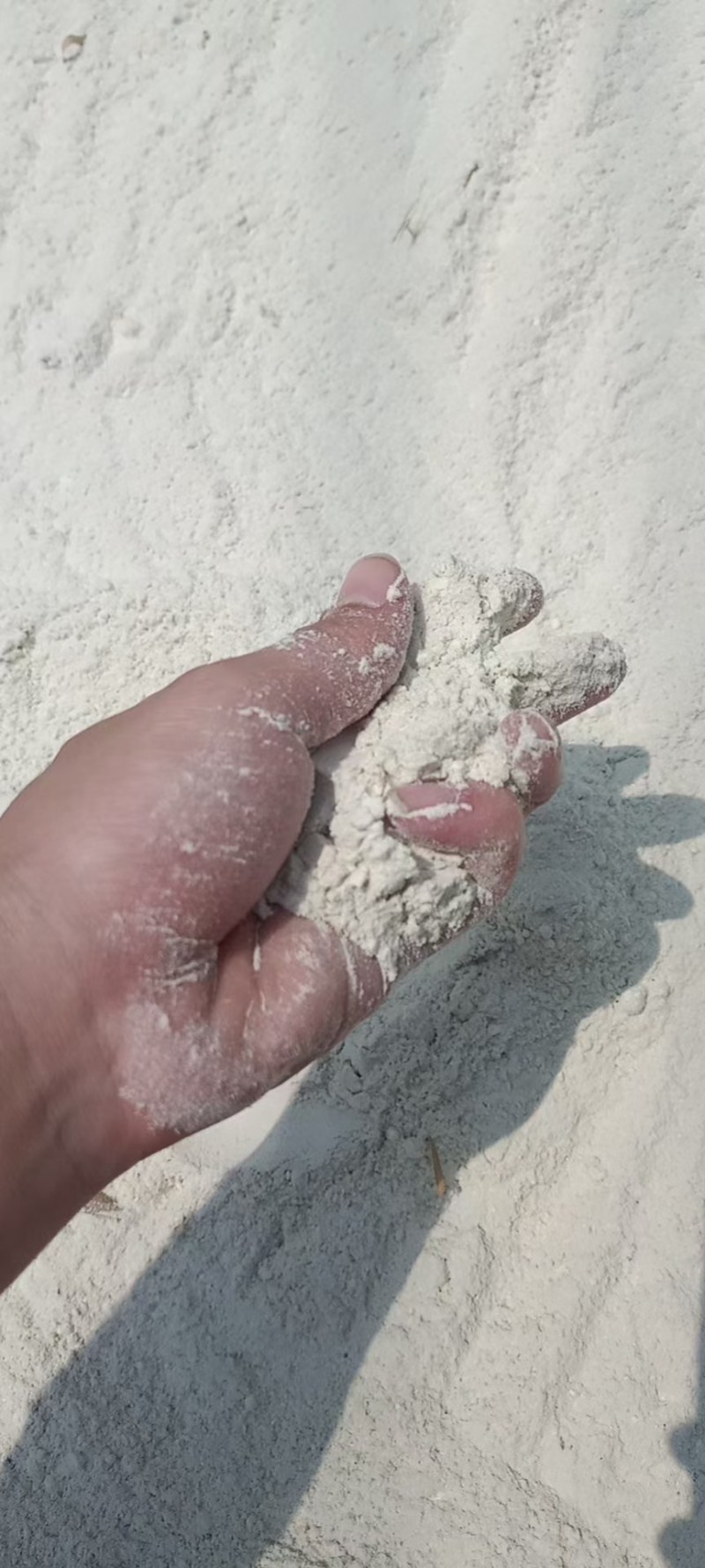 大豆油渣粉干料，饲料添加30%牛羊猪鸭鹅鱼食用效果更佳