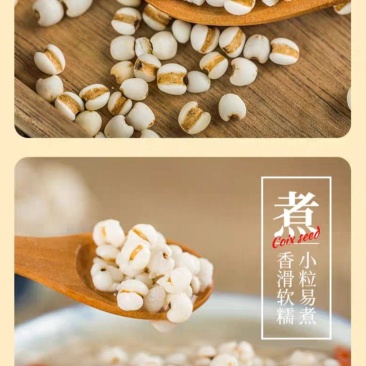 兴仁小薏米500g