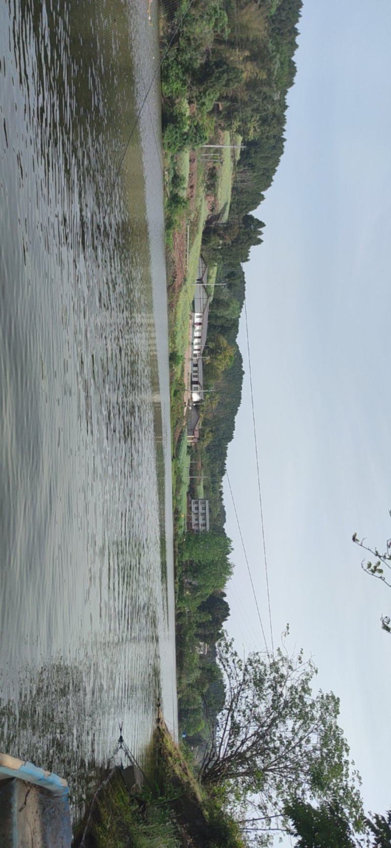水库150亩