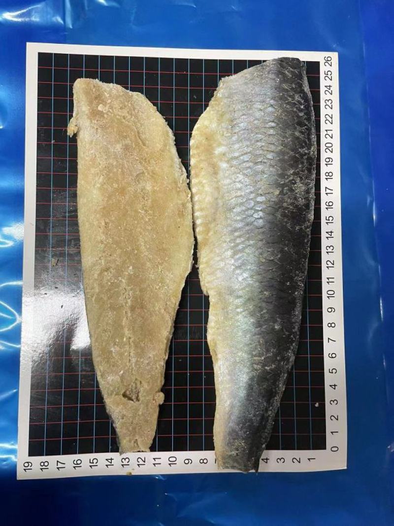 鲱鱼片，净菜食材，调味鲱鱼片，真空包装厂家一手货，电联