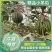 原产地牛奶小吊瓜，全美2k，L600，原产地供货！