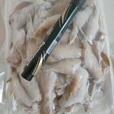 本港小耗儿鱼马面鱼剥皮鱼鲜度好经济实惠大量有货