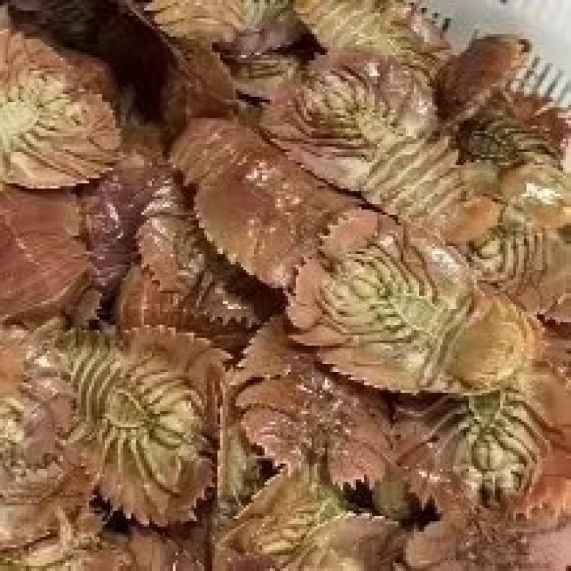 琵琶虾，九齿琵琶虾，鲜活琵琶虾，船冻琵琶虾，全国发货