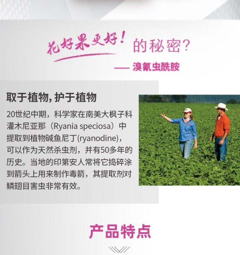 富美实倍内威溴氰虫酰胺蓟马斑潜蝇蚜虫白粉虱杀虫剂