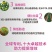 富美实倍内威溴氰虫酰胺蓟马斑潜蝇蚜虫白粉虱杀虫剂