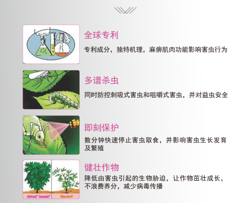 富美实倍内威溴氰虫酰胺蓟马斑潜蝇蚜虫白粉虱杀虫剂