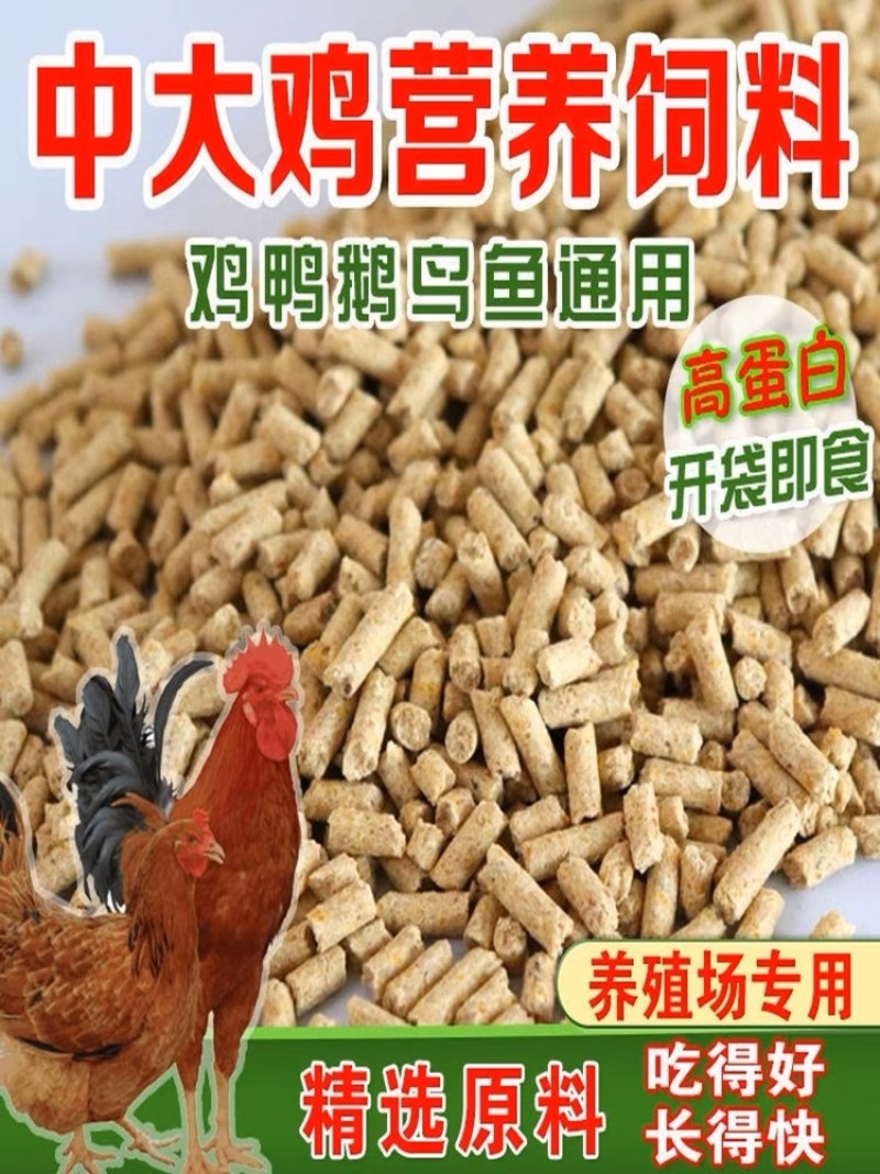 养殖使用碎玉米，无土无沙无霉变，干净实惠，要的联系