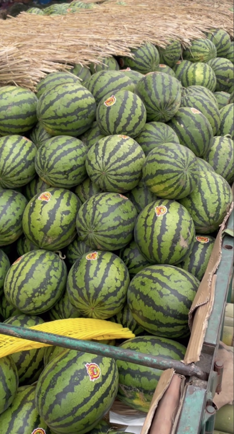 甜王西瓜云南甜王大量有货包甜质量保证全国发货