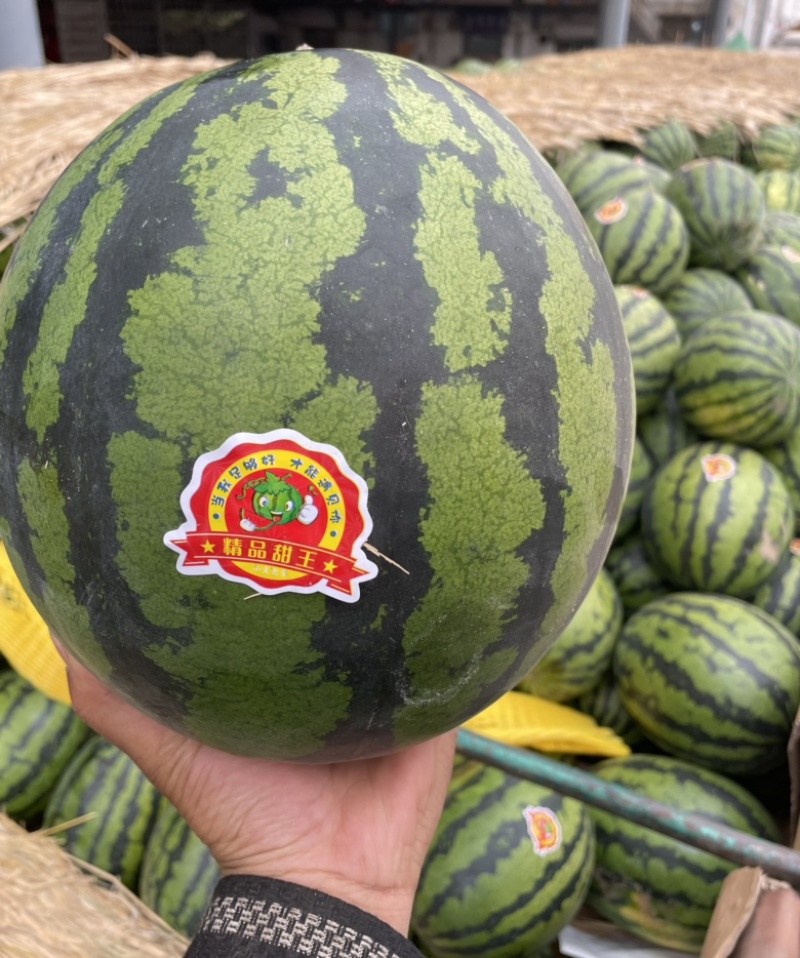 甜王西瓜云南甜王大量有货包甜质量保证全国发货