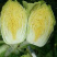 陆地黄心大白菜
