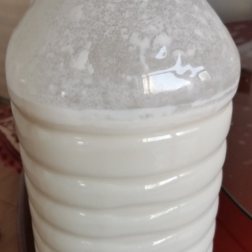 牧区酸奶