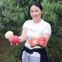 四川眉山水蜜桃大量供应甜皮多汁可视频