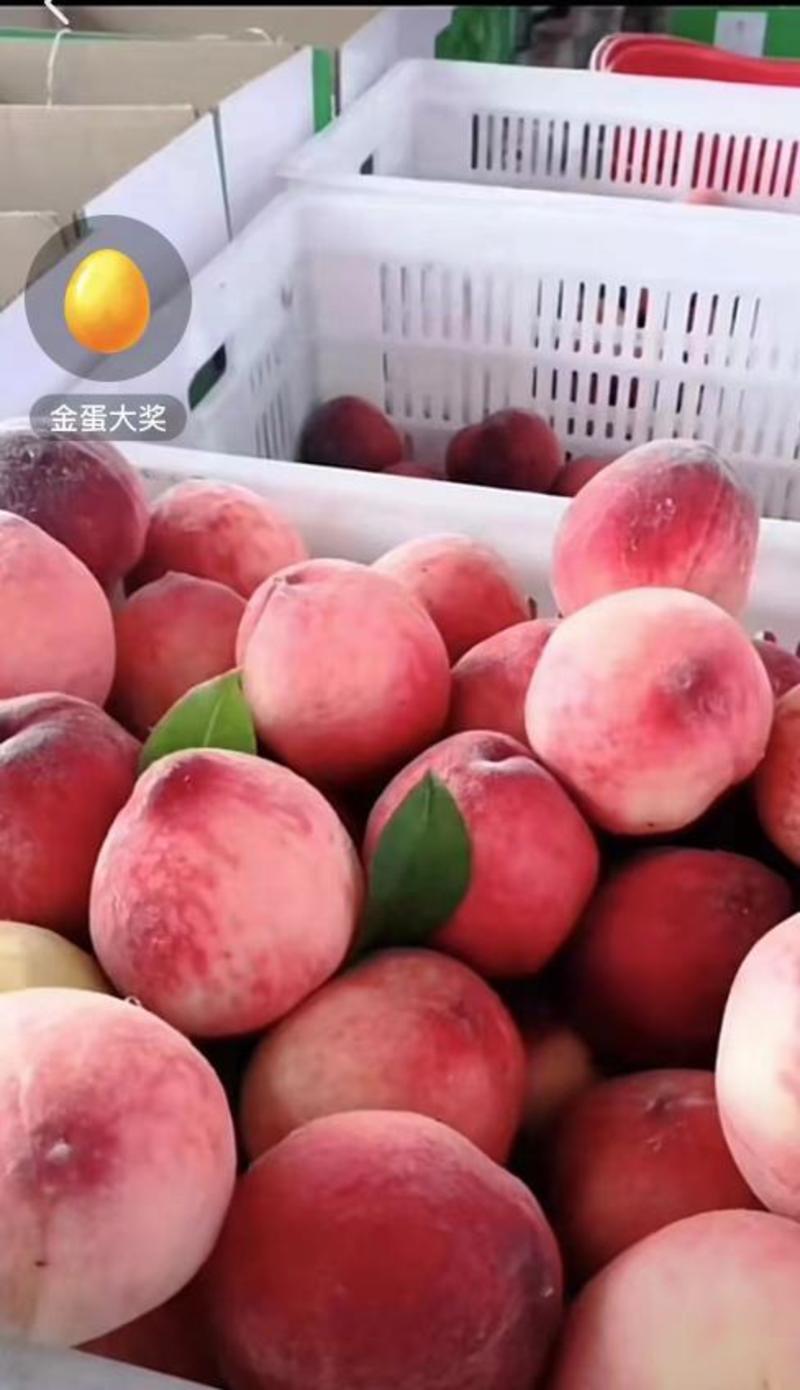 四川眉山水蜜桃大量供应甜皮多汁可视频看货